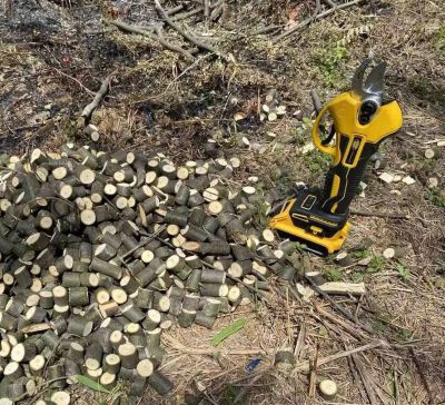 Акумулаторна Лозарска Ножица Vermark Starke / 24V, 5Ah /