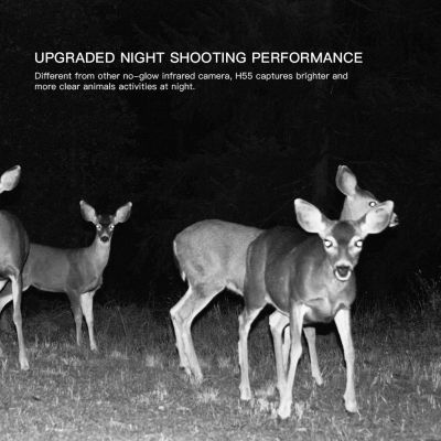 Ловна камера Apeman H55 Trail Camera камера капан за лов наблюдение