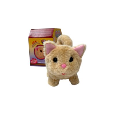 ХОДЕЩО КОТЕ